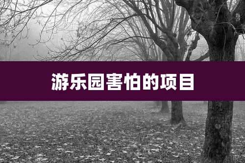 游乐园害怕的项目