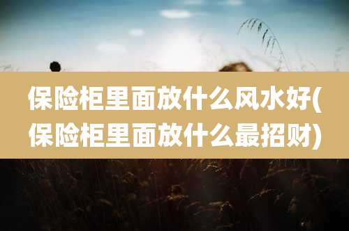 保险柜里面放什么风水好(保险柜里面放什么最招财)