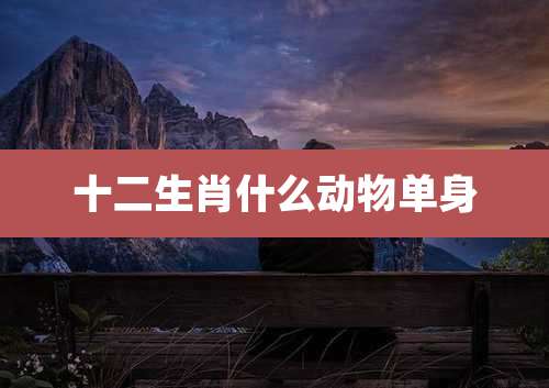 十二生肖什么动物单身
