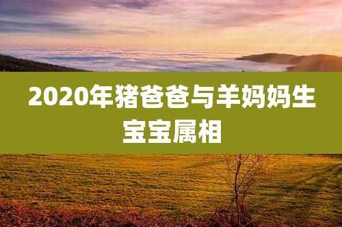 2020年猪爸爸与羊妈妈生宝宝属相