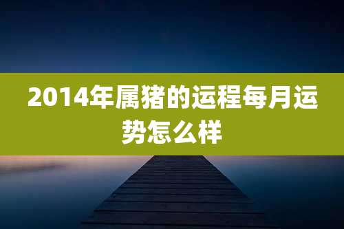 2014年属猪的运程每月运势怎么样