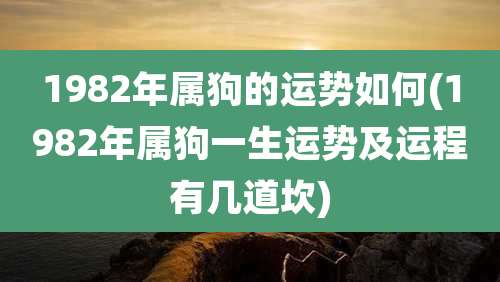 1982年属狗的运势如何(1982年属狗一生运势及运程有几道坎)