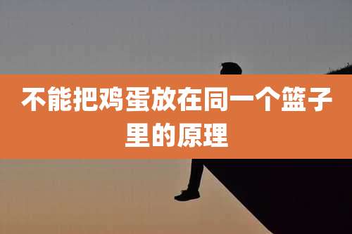 不能把鸡蛋放在同一个篮子里的原理