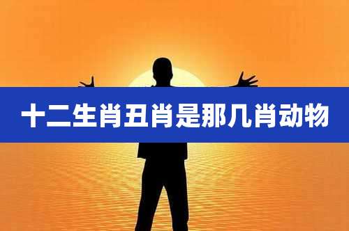 十二生肖丑肖是那几肖动物