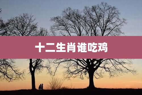 十二生肖谁吃鸡