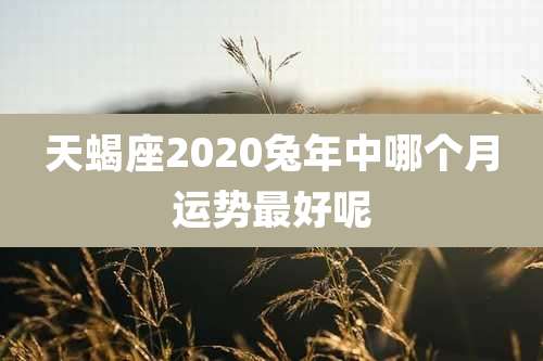 天蝎座2020兔年中哪个月运势最好呢