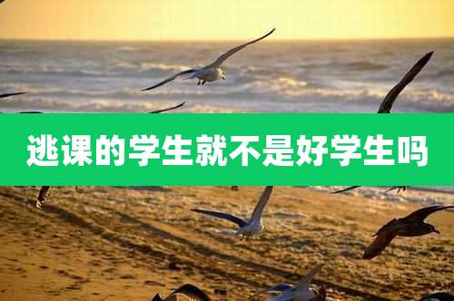 逃课的学生就不是好学生吗