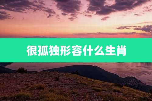 很孤独形容什么生肖