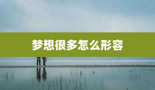 梦想很多怎么形容