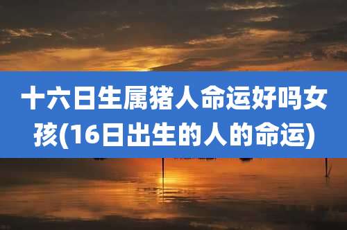 十六日生属猪人命运好吗女孩(16日出生的人的命运)