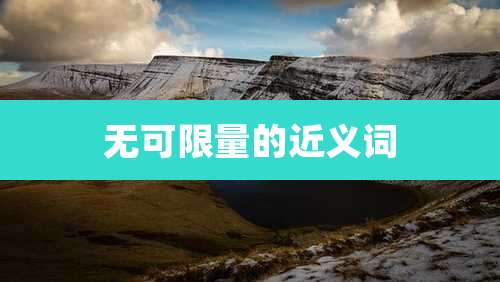 无可限量的近义词
