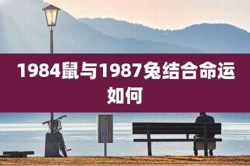 1984鼠与1987兔结合命运如何
