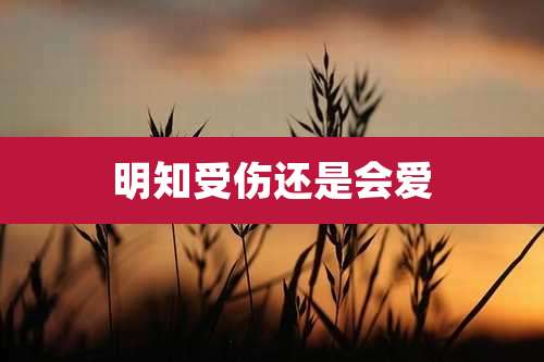 明知受伤还是会爱