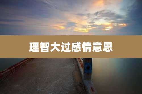 理智大过感情意思