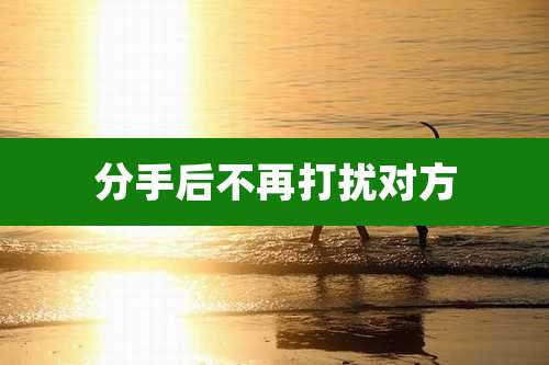 分手后不再打扰对方