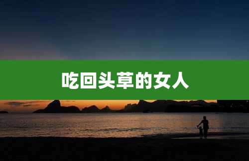 吃回头草的女人