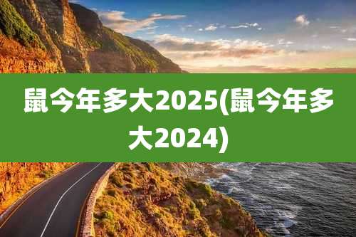 鼠今年多大2025(鼠今年多大2024)