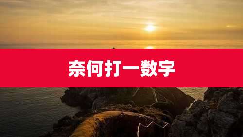 奈何打一数字