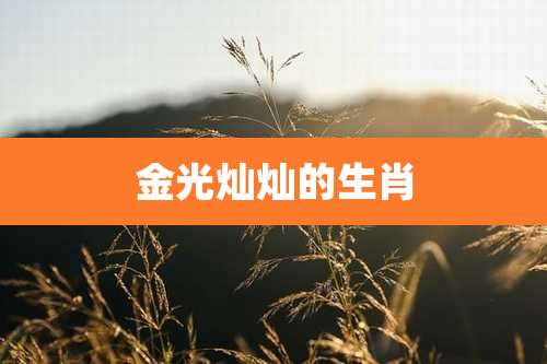 金光灿灿的生肖