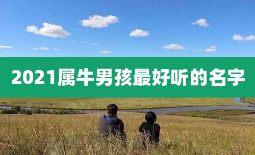 2021属牛男孩最好听的名字