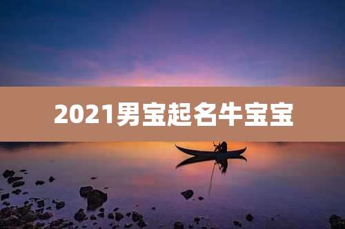 2021男宝起名牛宝宝