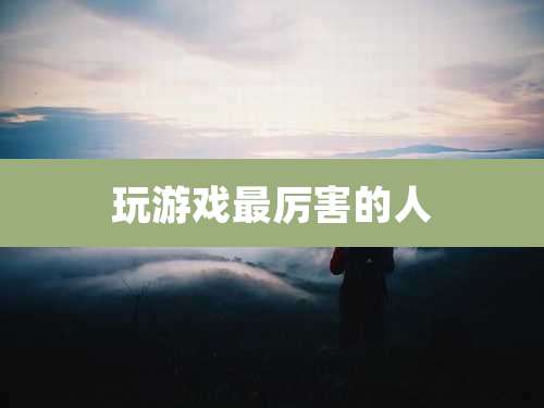 玩游戏最厉害的人