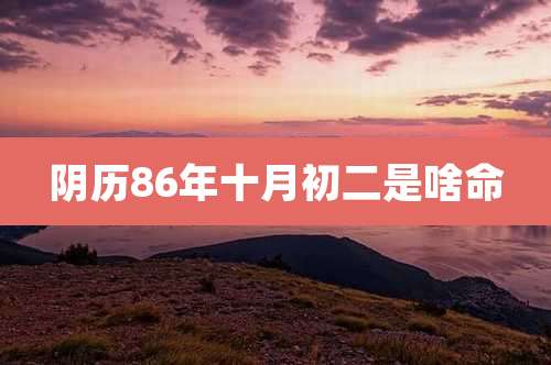 阴历86年十月初二是啥命