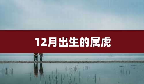 12月出生的属虎