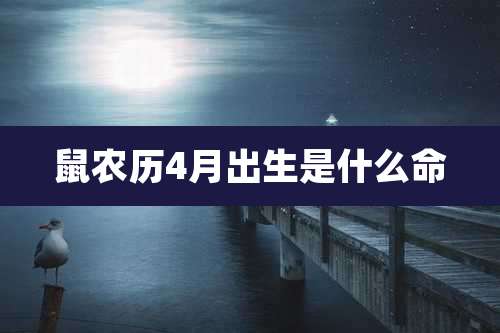 鼠农历4月出生是什么命