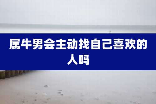 属牛男会主动找自己喜欢的人吗
