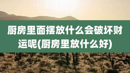 厨房里面摆放什么会破坏财运呢(厨房里放什么好)