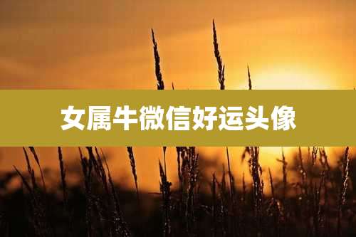 女属牛微信好运头像