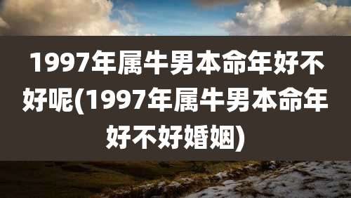 1997年属牛男本命年好不好呢(1997年属牛男本命年好不好婚姻)