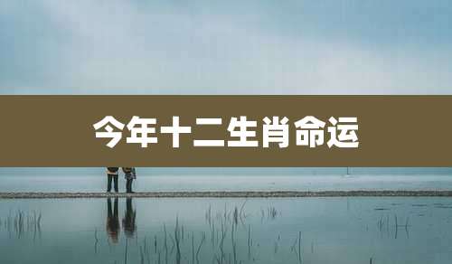 今年十二生肖命运