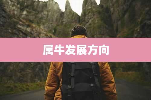 属牛发展方向