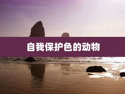 自我保护色的动物