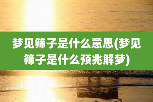 梦见筛子是什么意思(梦见筛子是什么预兆解梦)