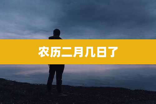 农历二月几日了