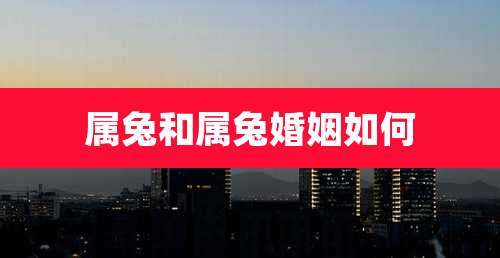 属兔和属兔婚姻如何