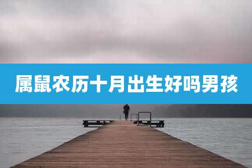 属鼠农历十月出生好吗男孩