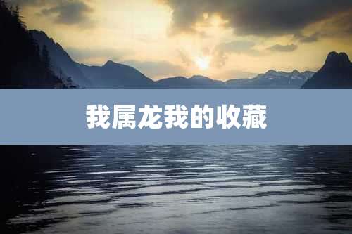 我属龙我的收藏