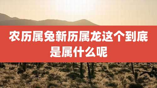 农历属兔新历属龙这个到底是属什么呢
