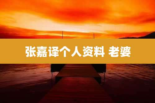 张嘉译个人资料 老婆