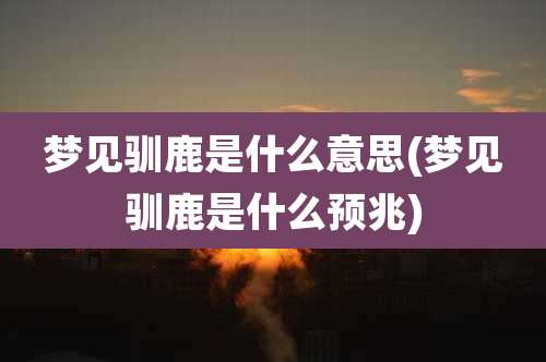 梦见驯鹿是什么意思(梦见驯鹿是什么预兆)