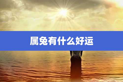 属兔有什么好运