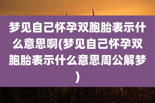 梦见自己怀孕双胞胎表示什么意思啊(梦见自己怀孕双胞胎表示什么意思周公解梦)
