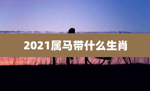 2021属马带什么生肖