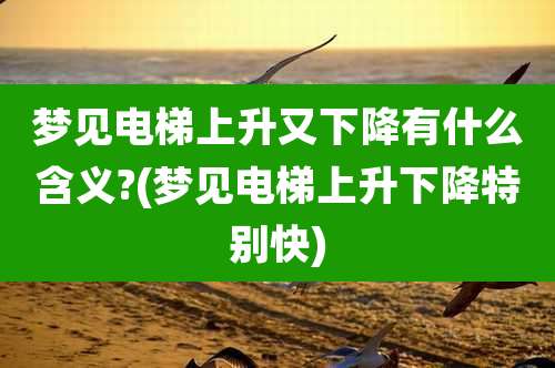 梦见电梯上升又下降有什么含义?(梦见电梯上升下降特别快)