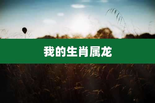 我的生肖属龙