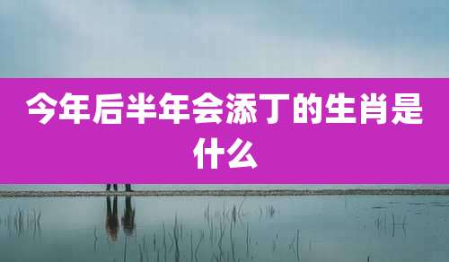 今年后半年会添丁的生肖是什么